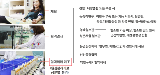 코로나19 확진자 혈액성분 헌혈받고도 모른 환자들