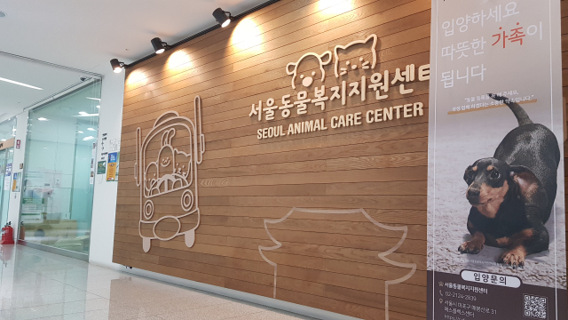 [지구용] 버려진 동물들은 상처가 많다구요?