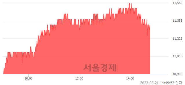 코한국알콜, 4.59% 오르며 체결강도 강세 지속(172%)